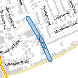 Tulpstraat