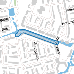 Fluitekruidweide
