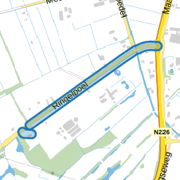 Ringelpoel