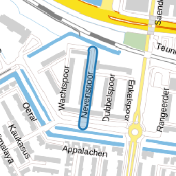 Nevenspoor