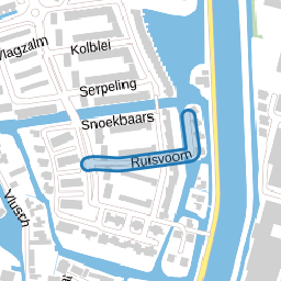 Ruisvoorn