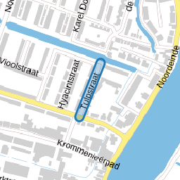 Tulpstraat
