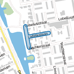 Lobeliuslaan