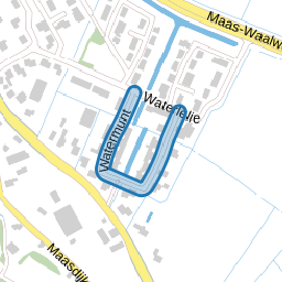 Watermunt