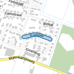 Koekoek