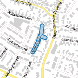 Wilgenstraat