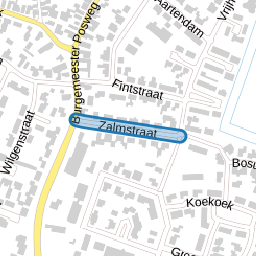 Zalmstraat