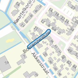 Boerenzwaluw