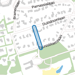 Dennenlaantje