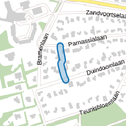 Wilgenlaantje