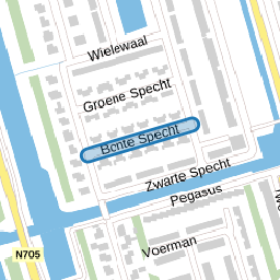 Bonte Specht