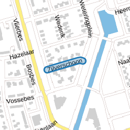 Zilverschoon