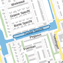 Zwarte Specht