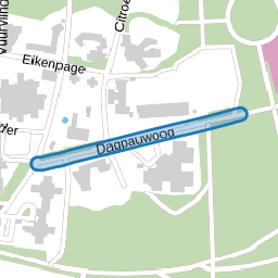 Dagpauwoog