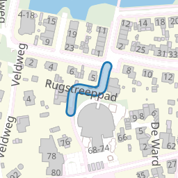 Rugstreeppad