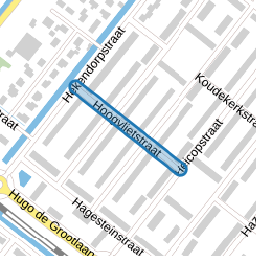 Hoogvlietstraat