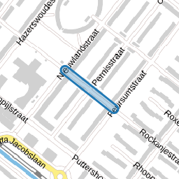 Nieuwveenstraat