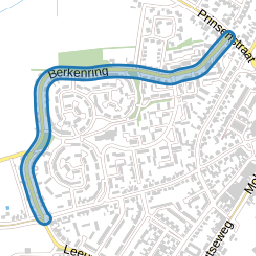 Berkenring