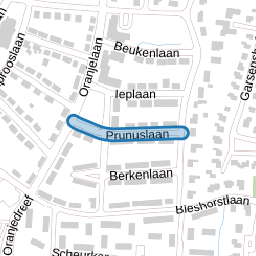 Prunuslaan