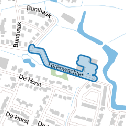 Torenwachter