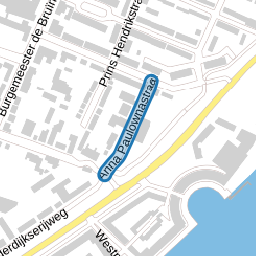 Anna Paulownastraat