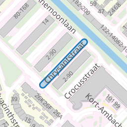 Chrysantstraat