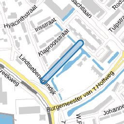 Korenbloemstraat