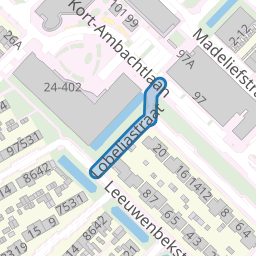 Lobeliastraat