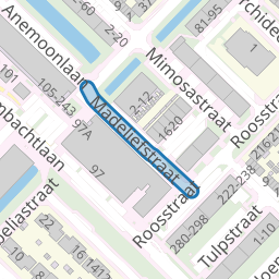 Madeliefstraat