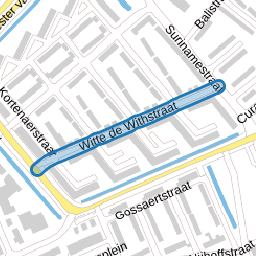 Witte de Withstraat