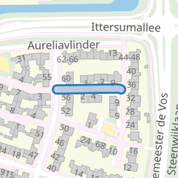 Argusvlinder