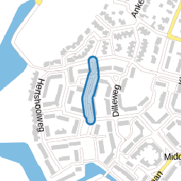 Cichoreipad
