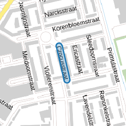 Crocusstraat