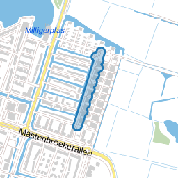 Goudplevierpad