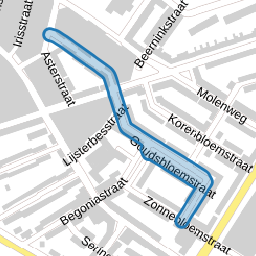 Goudsbloemstraat