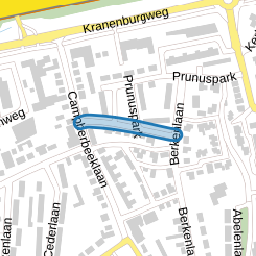 Palmenlaan
