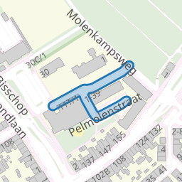 Pelmolenstraat