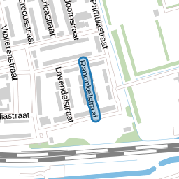 Ranonkelstraat