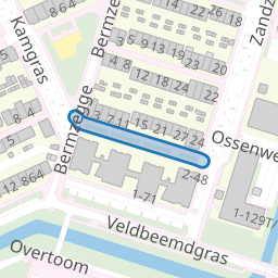Snavelzegge