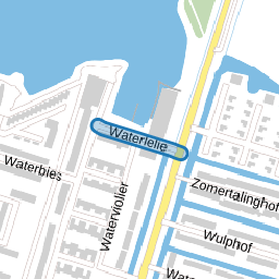 Waterlelie